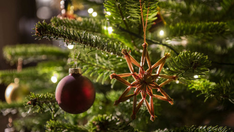 Festtags-Programm 2025/2026