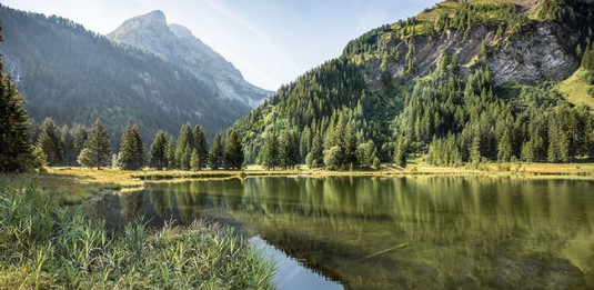 Lac Lauenen